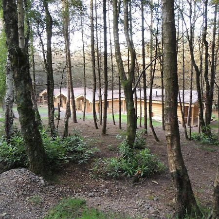 Wyldwood Lodge Cheadle  Luaran gambar