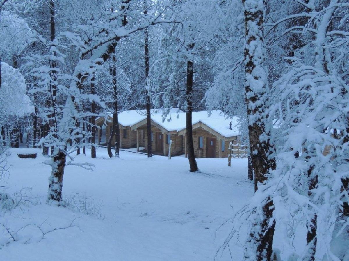 Wyldwood Lodge Cheadle  Luaran gambar