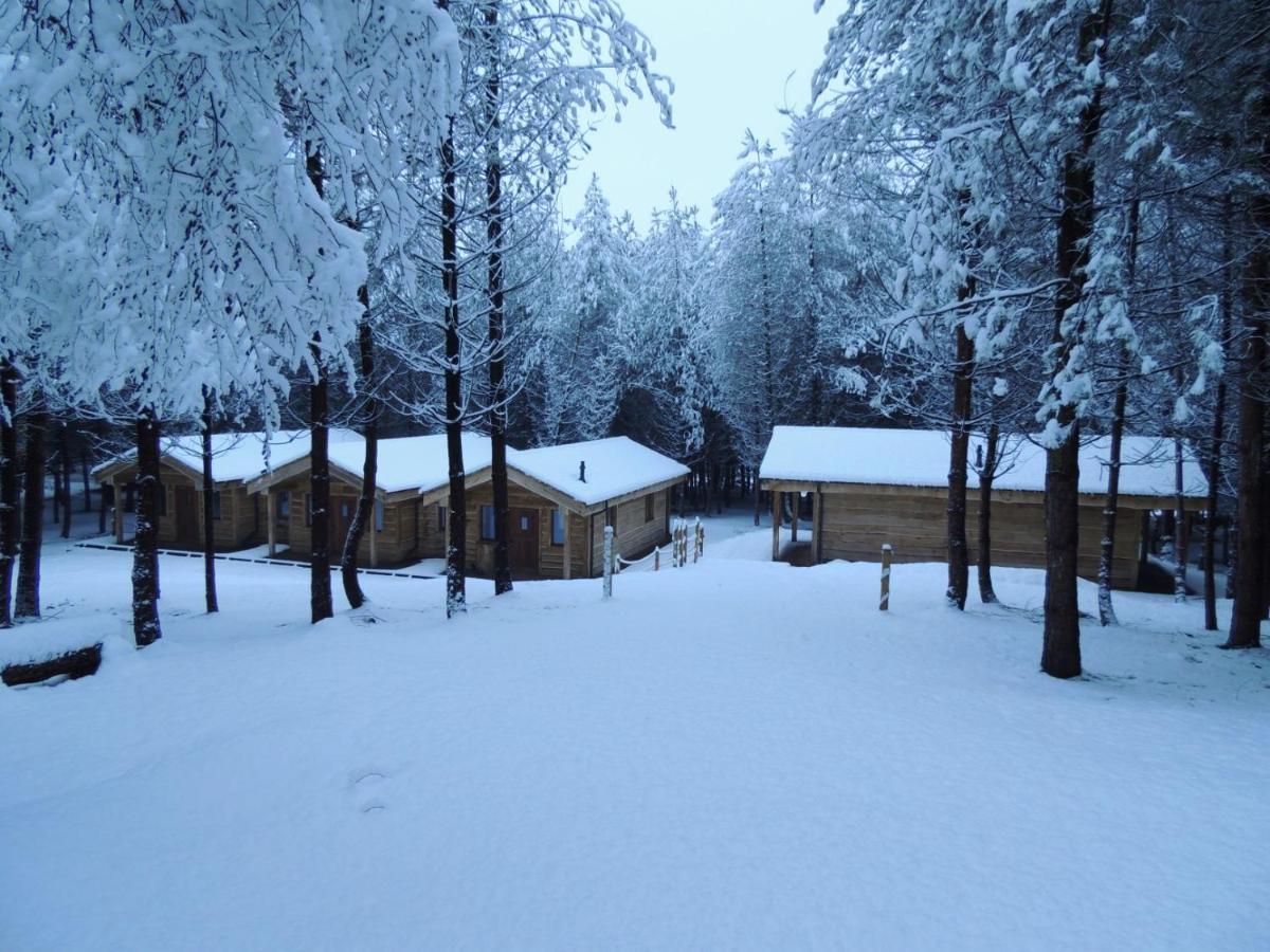 Wyldwood Lodge Cheadle  Luaran gambar