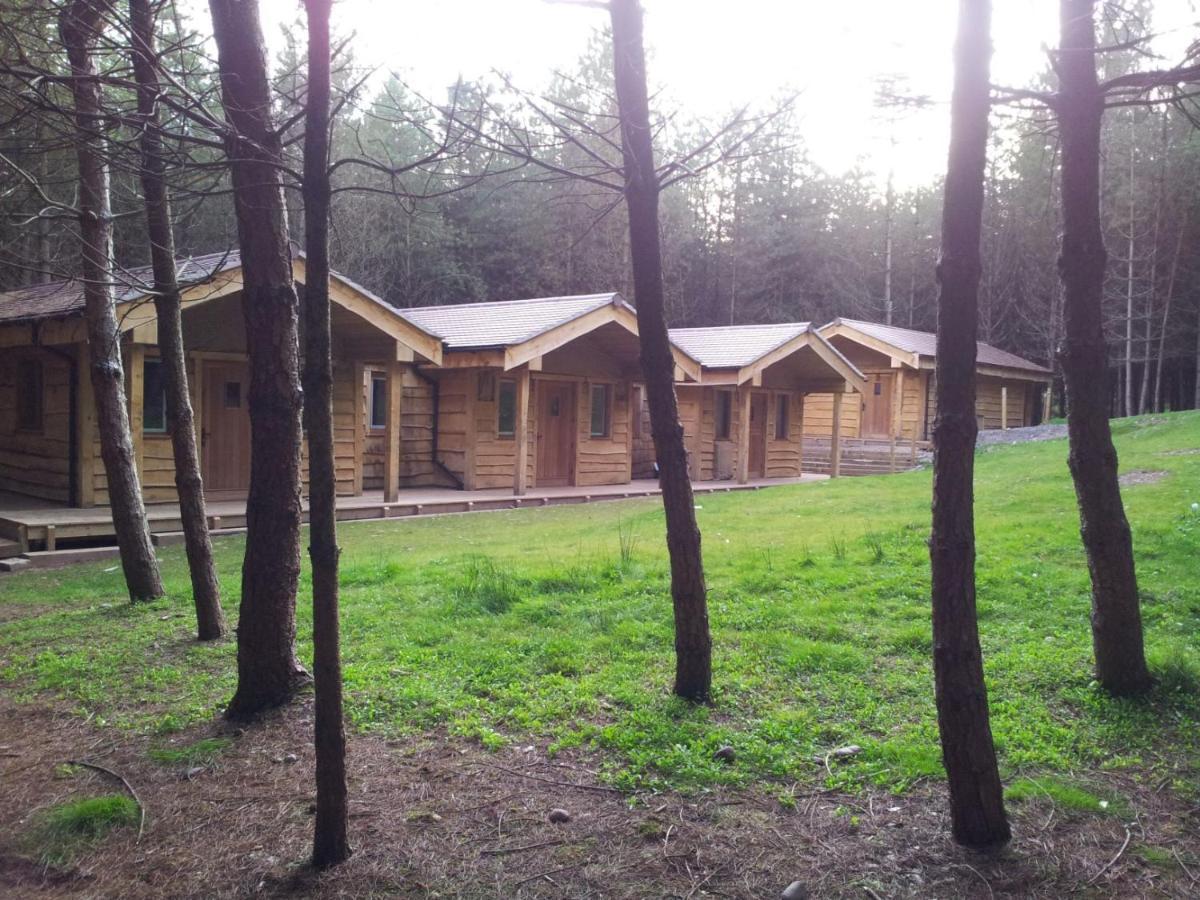 Wyldwood Lodge Cheadle  Luaran gambar