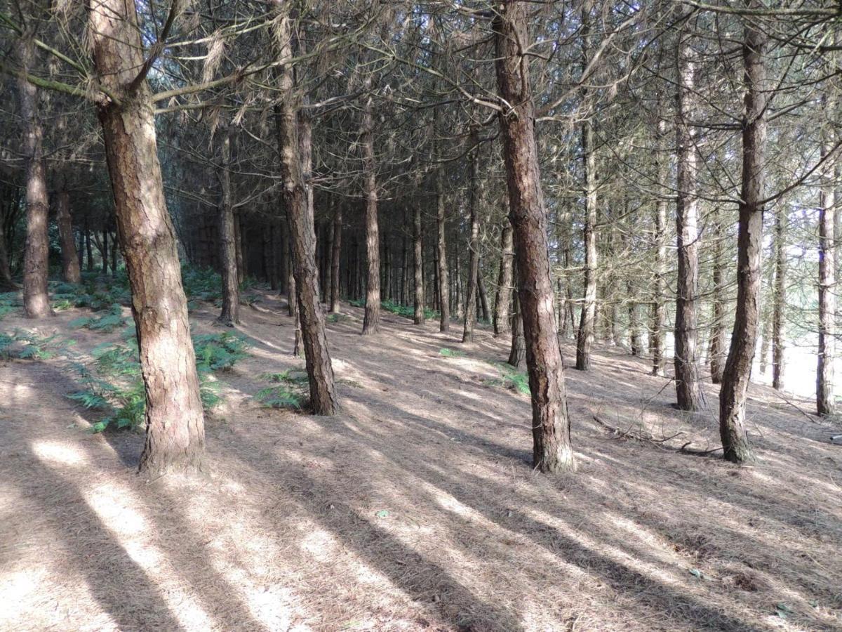 Wyldwood Lodge Cheadle  Luaran gambar