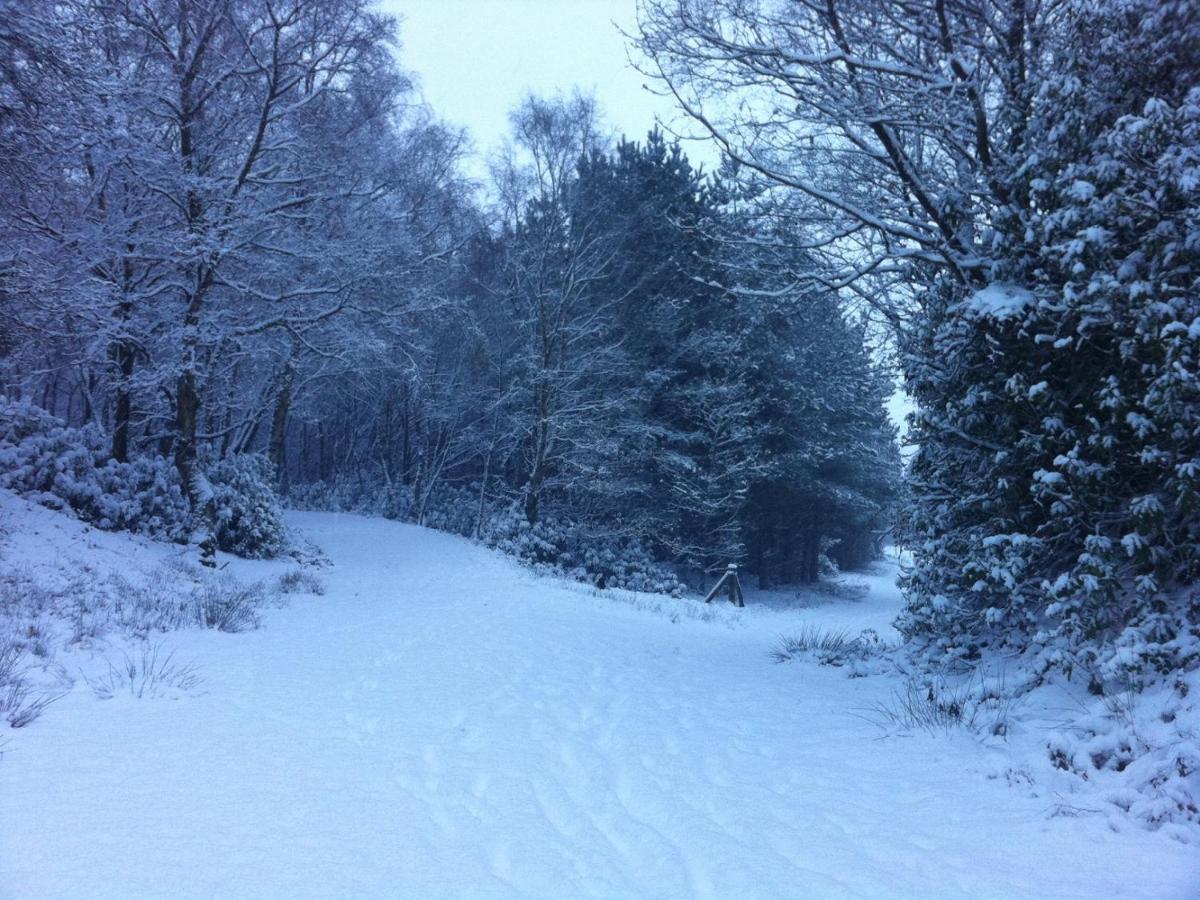 Wyldwood Lodge Cheadle  Luaran gambar