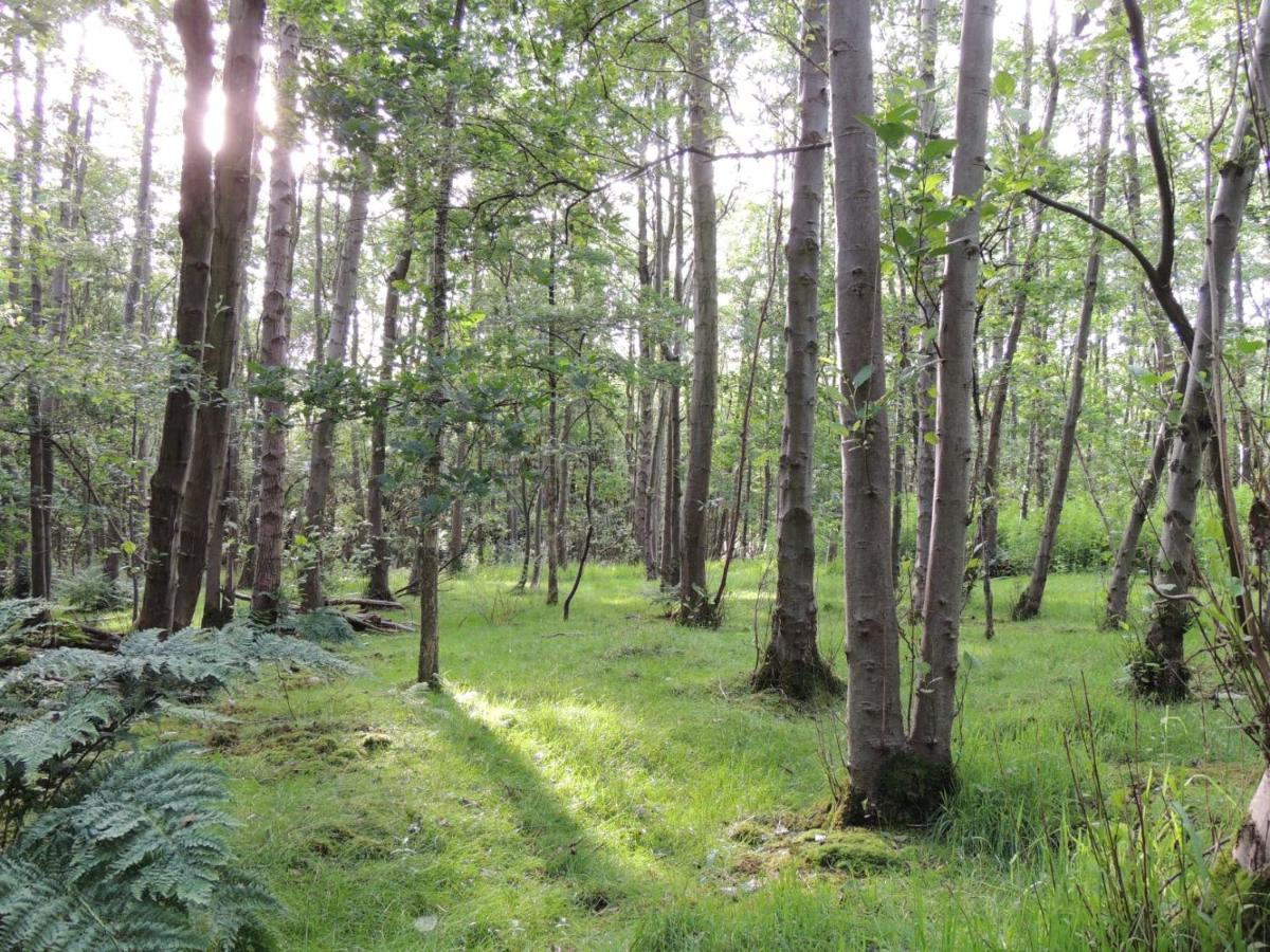Wyldwood Lodge Cheadle  Luaran gambar