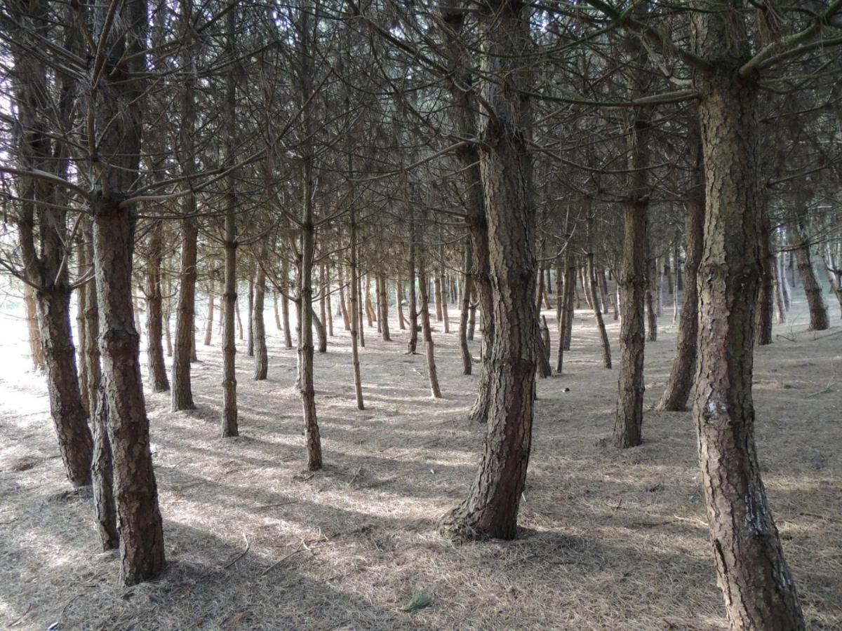 Wyldwood Lodge Cheadle  Luaran gambar