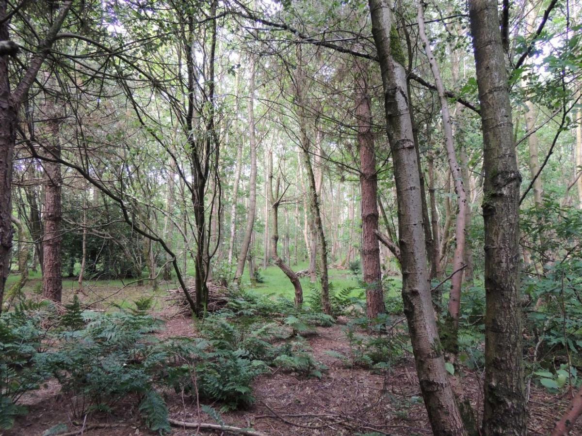 Wyldwood Lodge Cheadle  Luaran gambar